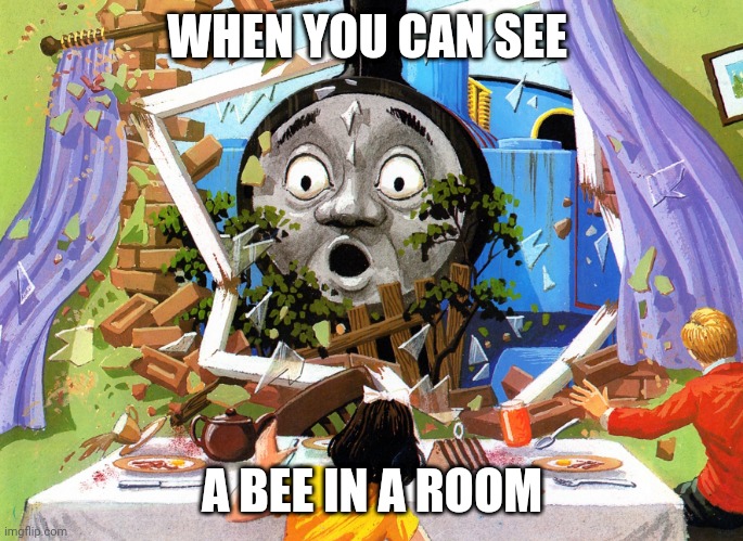 Thomas | WHEN YOU CAN SEE; A BEE IN A ROOM | image tagged in thomas | made w/ Imgflip meme maker