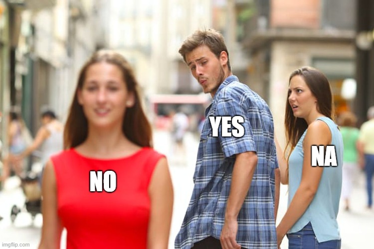 Distracted Boyfriend Meme | NO YES NA | image tagged in memes,distracted boyfriend | made w/ Imgflip meme maker