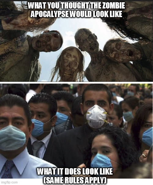 Zombie Mask Apocalypse | WHAT YOU THOUGHT THE ZOMBIE APOCALYPSE WOULD LOOK LIKE; WHAT IT DOES LOOK LIKE
(SAME RULES APPLY) | image tagged in made in china,covid19,covid-19,covidiots,hoax,false flag | made w/ Imgflip meme maker