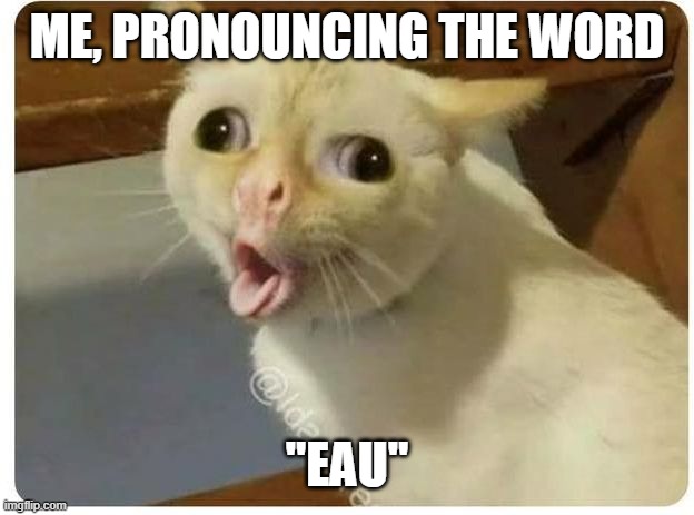 Kids cough | ME, PRONOUNCING THE WORD; "EAU" | image tagged in kids cough | made w/ Imgflip meme maker
