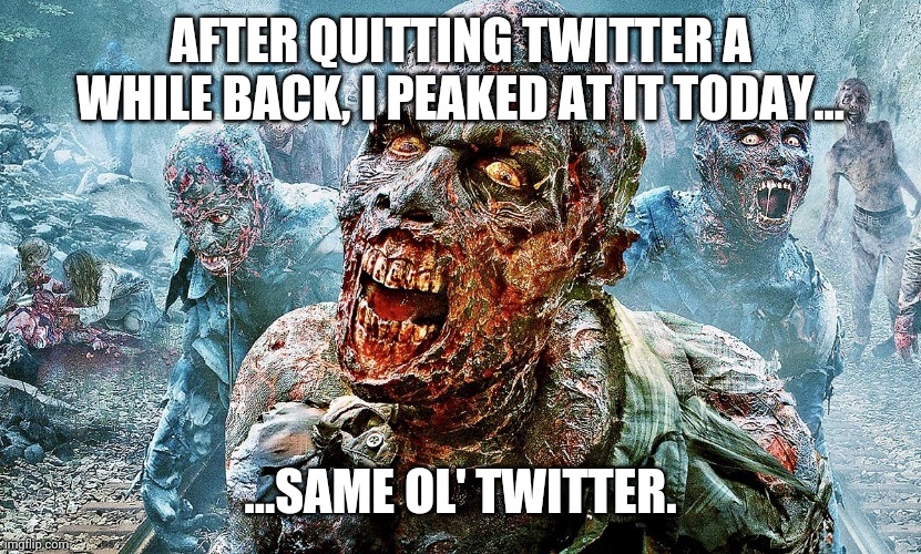 Zombie apocalypse | AFTER QUITTING TWITTER A WHILE BACK, I PEAKED AT IT TODAY... ...SAME OL' TWITTER. | image tagged in zombie apocalypse | made w/ Imgflip meme maker