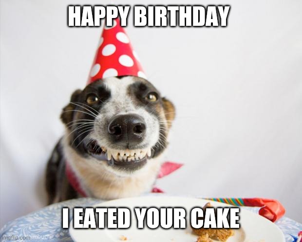 birthday dog | HAPPY BIRTHDAY I EATED YOUR CAKE | image tagged in birthday dog | made w/ Imgflip meme maker