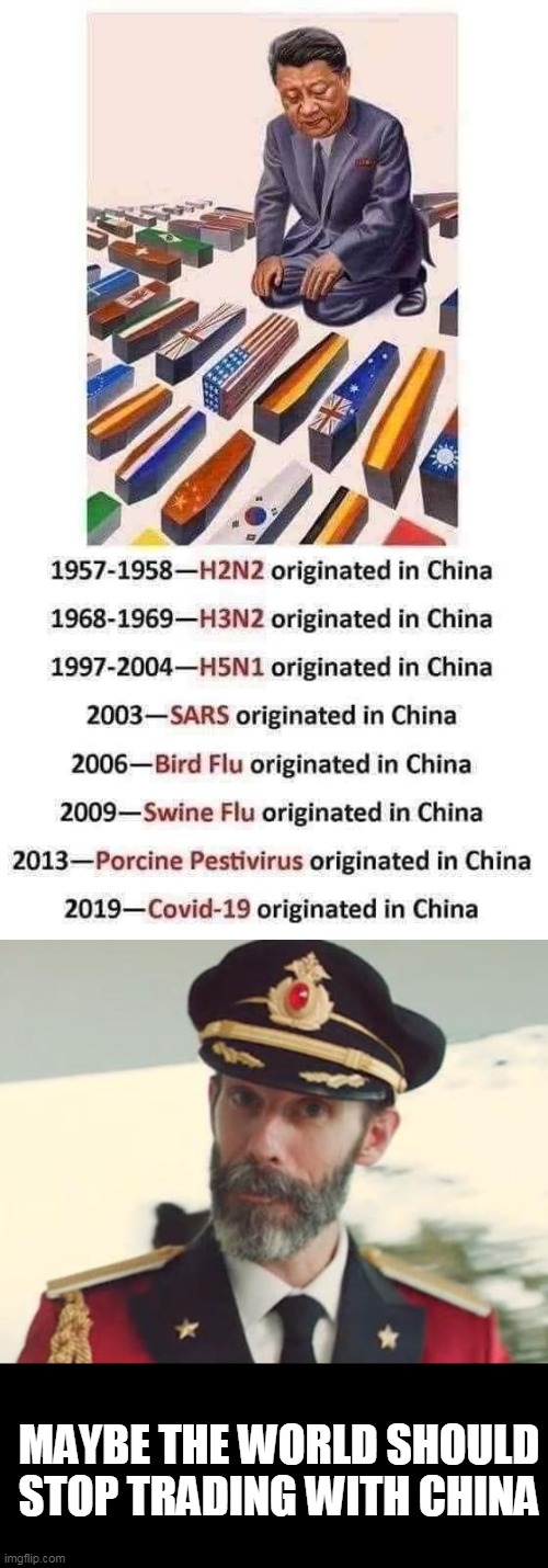 IP theft and death | MAYBE THE WORLD SHOULD STOP TRADING WITH CHINA | image tagged in captain obvious,politics,made in china | made w/ Imgflip meme maker