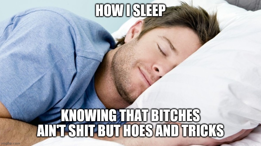 how i sleep | HOW I SLEEP; KNOWING THAT BITCHES AIN'T SHIT BUT HOES AND TRICKS | image tagged in how i sleep | made w/ Imgflip meme maker