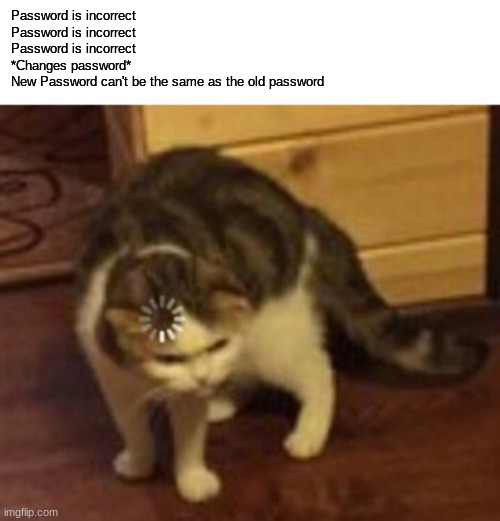 Password issues | Password is incorrect
Password is incorrect
Password is incorrect
*Changes password*
New Password can't be the same as the old password | image tagged in loading cat | made w/ Imgflip meme maker