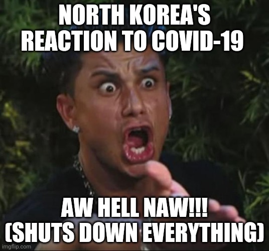 DJ Pauly D | NORTH KOREA'S REACTION TO COVID-19; AW HELL NAW!!!
(SHUTS DOWN EVERYTHING) | image tagged in memes,dj pauly d | made w/ Imgflip meme maker