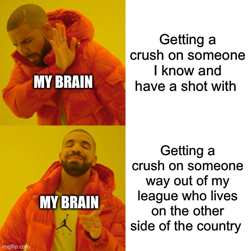 Please Exit my Brain, Sir | Getting a crush on someone I know and have a shot with; MY BRAIN; Getting a crush on someone way out of my league who lives on the other side of the country; MY BRAIN | image tagged in memes,drake hotline bling | made w/ Imgflip meme maker