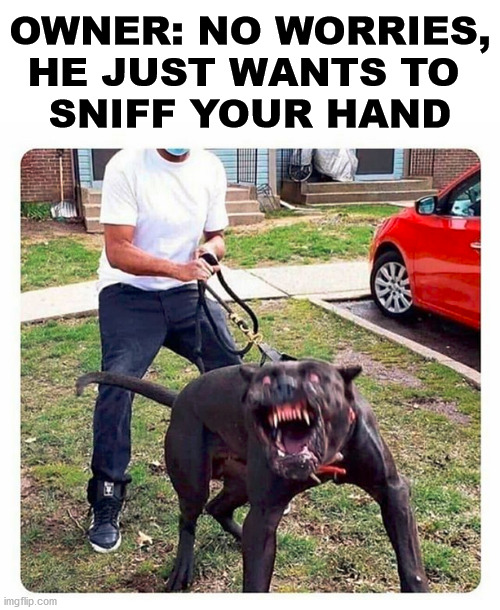 Oh, he is so good with my children .... but not so much with strangers. |  OWNER: NO WORRIES, HE JUST WANTS TO 
SNIFF YOUR HAND | image tagged in pitbull,dogs | made w/ Imgflip meme maker