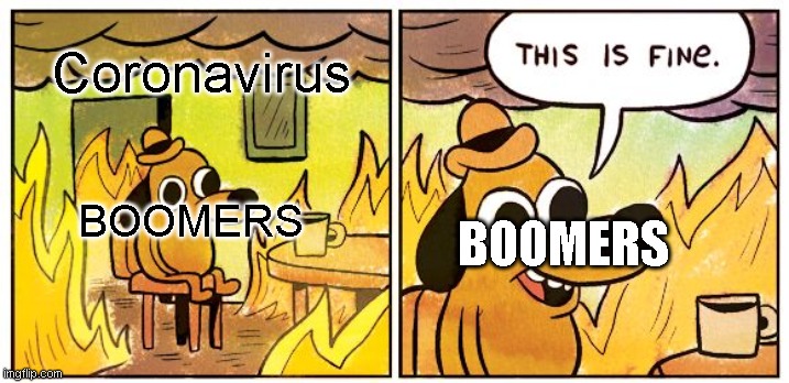 This Is Fine | Coronavirus; BOOMERS; BOOMERS | image tagged in memes,this is fine | made w/ Imgflip meme maker