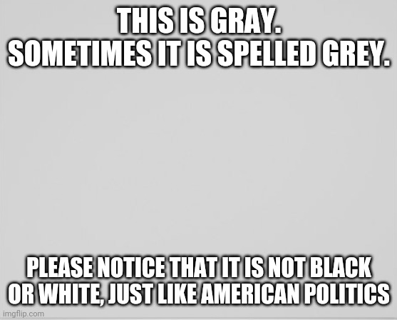 Can you see more than two colors? | THIS IS GRAY. SOMETIMES IT IS SPELLED GREY. PLEASE NOTICE THAT IT IS NOT BLACK OR WHITE, JUST LIKE AMERICAN POLITICS | image tagged in gray | made w/ Imgflip meme maker