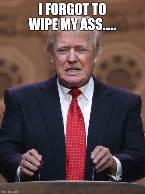 Donald Trump | I FORGOT TO WIPE MY ASS..... | image tagged in donald trump | made w/ Imgflip meme maker