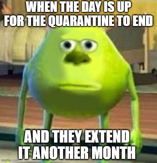 Monsters Inc Face Swap | WHEN THE DAY IS UP FOR THE QUARANTINE TO END; AND THEY EXTEND IT ANOTHER MONTH | image tagged in monsters inc face swap | made w/ Imgflip meme maker