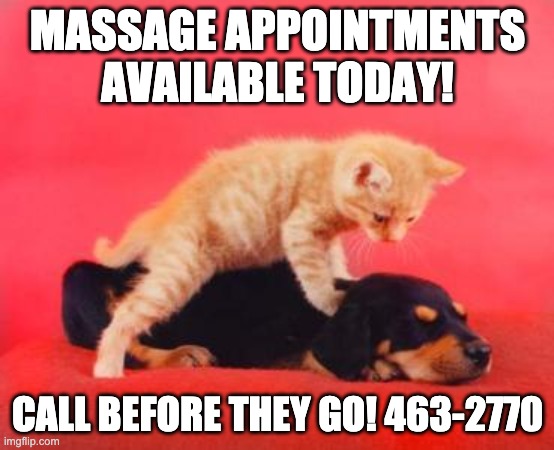 Free Massage Imgflip 8664