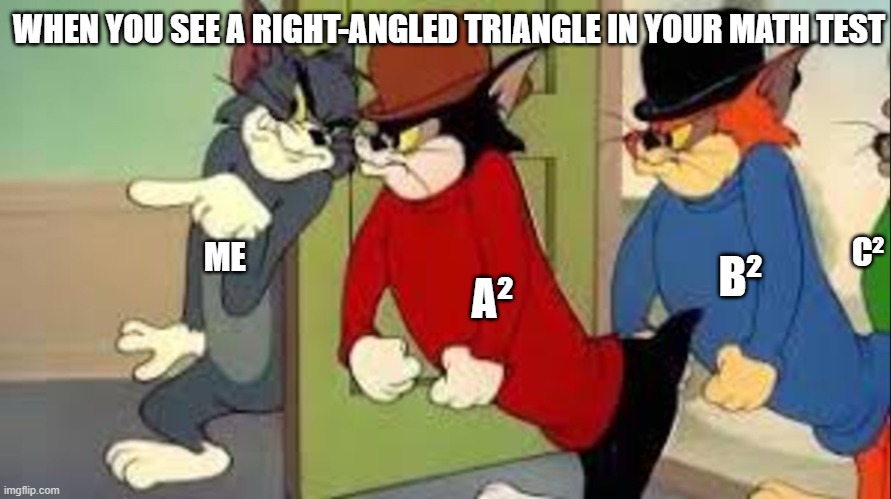 Math | WHEN YOU SEE A RIGHT-ANGLED TRIANGLE IN YOUR MATH TEST; C²; ME; B²; A² | image tagged in math | made w/ Imgflip meme maker