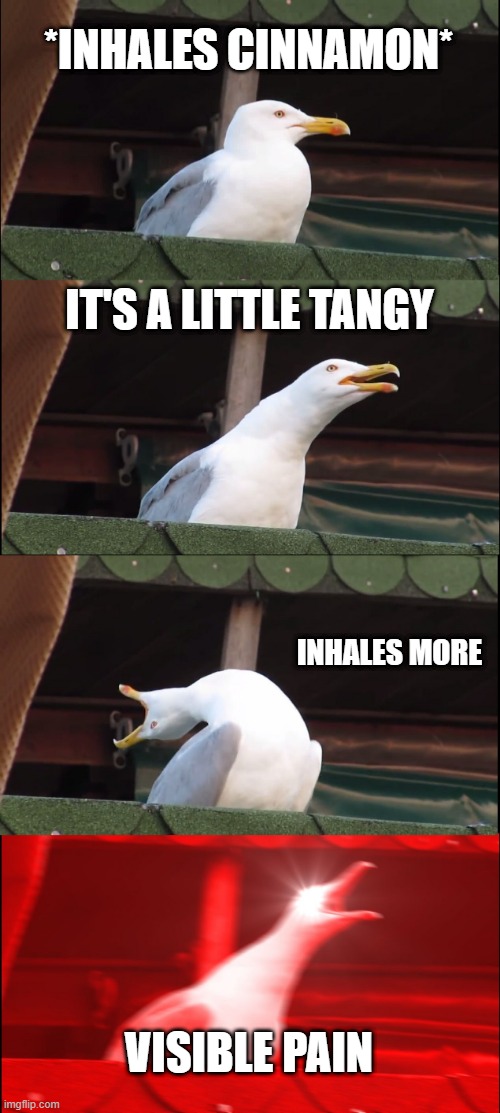 Seagull Inhaling Cinnamon | *INHALES CINNAMON*; IT'S A LITTLE TANGY; INHALES MORE; VISIBLE PAIN | image tagged in memes,inhaling seagull | made w/ Imgflip meme maker