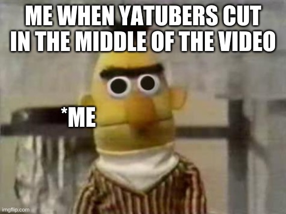 Youtuber shennanigans | ME WHEN YATUBERS CUT IN THE MIDDLE OF THE VIDEO; *ME | image tagged in bert stare | made w/ Imgflip meme maker