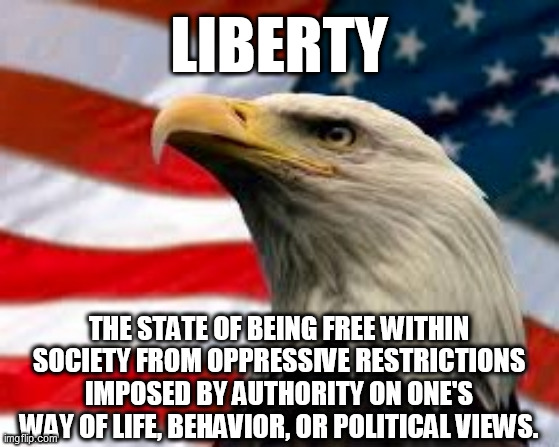 Liberty | LIBERTY; THE STATE OF BEING FREE WITHIN SOCIETY FROM OPPRESSIVE RESTRICTIONS IMPOSED BY AUTHORITY ON ONE'S WAY OF LIFE, BEHAVIOR, OR POLITICAL VIEWS. | image tagged in memes,trump,republican,democrat,liberal,progressive | made w/ Imgflip meme maker