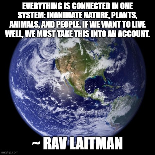 One Thing | EVERYTHING IS CONNECTED IN ONE SYSTEM: INANIMATE NATURE, PLANTS, ANIMALS, AND PEOPLE. IF WE WANT TO LIVE WELL, WE MUST TAKE THIS INTO AN ACCOUNT. ~ RAV LAITMAN | image tagged in earth,spirituality,connection,butterfly effect | made w/ Imgflip meme maker