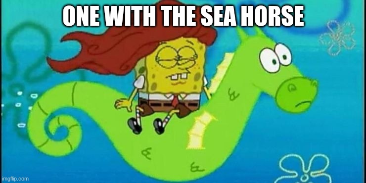 ONE WITH THE SEA HORSE | image tagged in memes | made w/ Imgflip meme maker