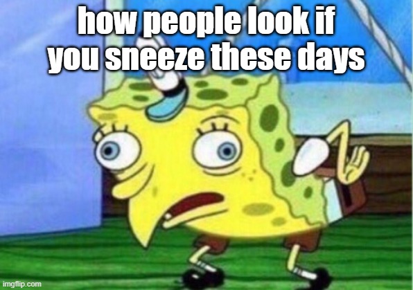 Mocking Spongebob | how people look if you sneeze these days | image tagged in memes,mocking spongebob | made w/ Imgflip meme maker