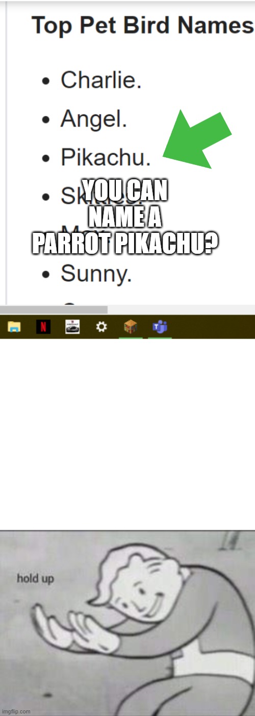 parrot x pikachu=hold up | YOU CAN NAME A PARROT PIKACHU? | image tagged in blank white template,fallout hold up | made w/ Imgflip meme maker