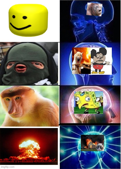 the humans brain | image tagged in memes,expanding brain | made w/ Imgflip meme maker