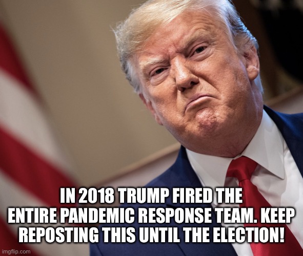 Trump Fired the Entire Pandemic Response Team. |  IN 2018 TRUMP FIRED THE ENTIRE PANDEMIC RESPONSE TEAM. KEEP REPOSTING THIS UNTIL THE ELECTION! | image tagged in donald trump,fired,pandemic,coronavirus,trump supporter,trump for prison | made w/ Imgflip meme maker