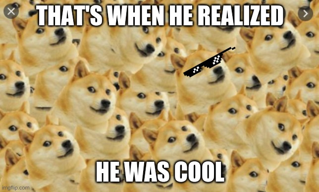 THAT'S WHEN HE REALIZED; HE WAS COOL | image tagged in multi doge | made w/ Imgflip meme maker