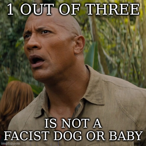 Let my brain catch up | 1 OUT OF THREE IS NOT A FACIST DOG OR BABY | image tagged in let my brain catch up | made w/ Imgflip meme maker