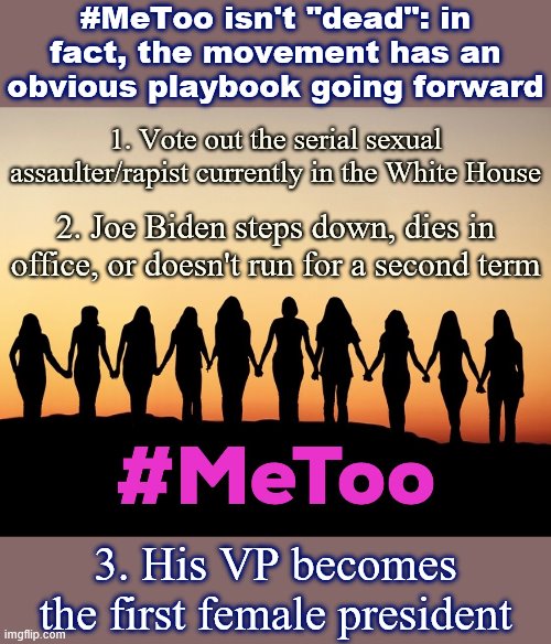 The obvious next step for #MeToo. | #MeToo isn't "dead": in fact, the movement has an obvious playbook going forward; 1. Vote out the serial sexual assaulter/rapist currently in the White House; 2. Joe Biden steps down, dies in office, or doesn't run for a second term; 3. His VP becomes the first female president | image tagged in metoo,election 2020,joe biden,sexual assault,sexual harassment,feminism | made w/ Imgflip meme maker