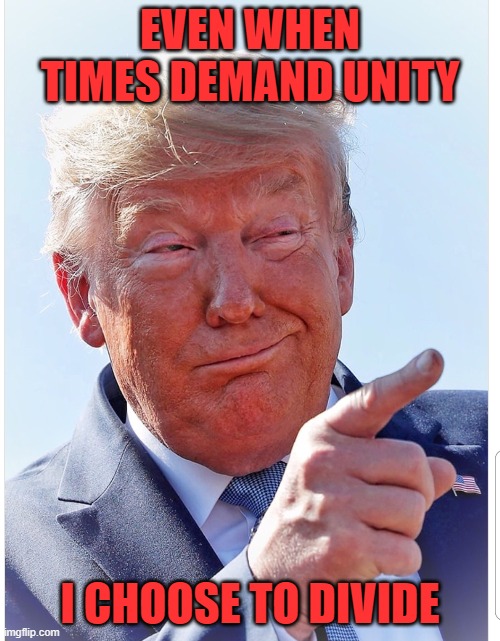 Trump pointing | EVEN WHEN TIMES DEMAND UNITY; I CHOOSE TO DIVIDE | image tagged in trump pointing | made w/ Imgflip meme maker