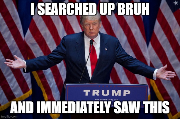 Donald Trump | I SEARCHED UP BRUH; AND IMMEDIATELY SAW THIS | image tagged in donald trump | made w/ Imgflip meme maker