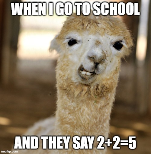 School lama | WHEN I GO TO SCHOOL; AND THEY SAY 2+2=5 | image tagged in llama | made w/ Imgflip meme maker