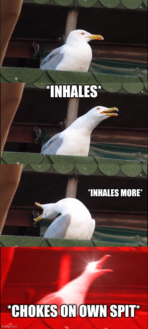 Inhaling Seagull Meme | *INHALES*; *INHALES MORE*; *CHOKES ON OWN SPIT* | image tagged in memes,inhaling seagull | made w/ Imgflip meme maker