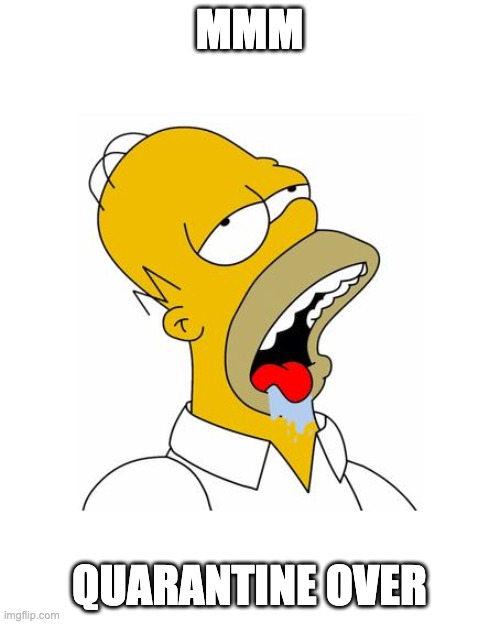 Homer Simpson Drooling | MMM QUARANTINE OVER | image tagged in homer simpson drooling | made w/ Imgflip meme maker