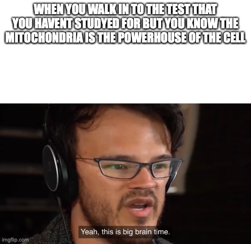 Yeah, this is big brain time | WHEN YOU WALK IN TO THE TEST THAT YOU HAVENT STUDYED FOR BUT YOU KNOW THE MITOCHONDRIA IS THE POWERHOUSE OF THE CELL | image tagged in yeah this is big brain time | made w/ Imgflip meme maker