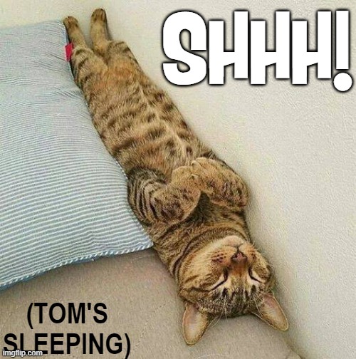 Tom is Unique... when he's sleeping | SHHH! (TOM'S SLEEPING) | image tagged in vince vance,cats,sleeping,tom cat,funny cat memes,new memes | made w/ Imgflip meme maker