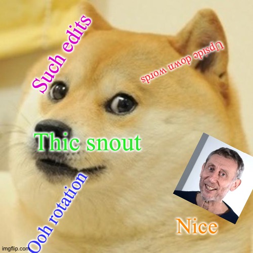 Doge | Such edits; Upside down words; Thic snout; Ooh rotation; Nice | image tagged in memes,doge | made w/ Imgflip meme maker