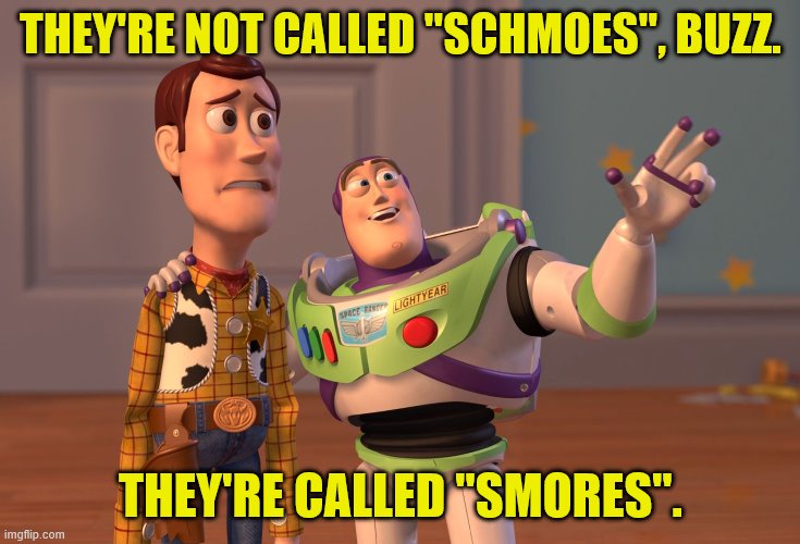 X, X Everywhere Meme | THEY'RE NOT CALLED "SCHMOES", BUZZ. THEY'RE CALLED "SMORES". | image tagged in memes,x x everywhere | made w/ Imgflip meme maker