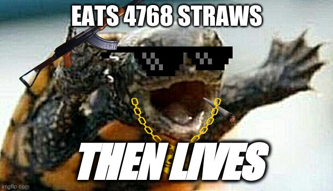 Turtle Say What? | EATS 4768 STRAWS; THEN LIVES | image tagged in turtle say what | made w/ Imgflip meme maker
