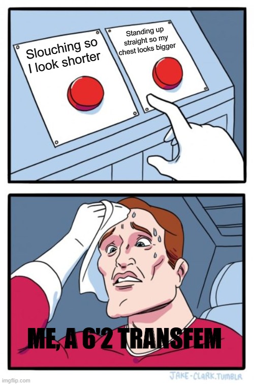 Two Buttons Meme | Standing up straight so my chest looks bigger; Slouching so I look shorter; ME, A 6'2 TRANSFEM | image tagged in memes,two buttons | made w/ Imgflip meme maker