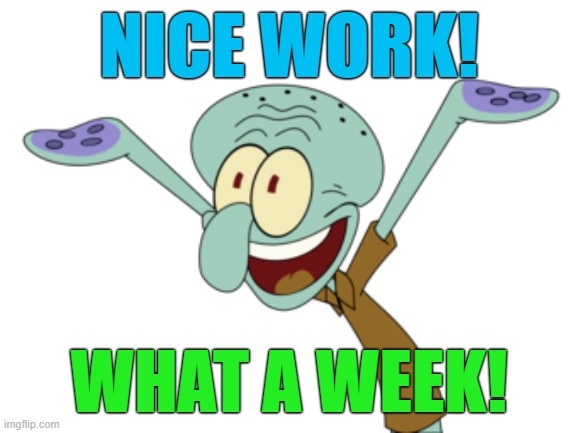 NICE WORK! WHAT A WEEK! | image tagged in what a week | made w/ Imgflip meme maker