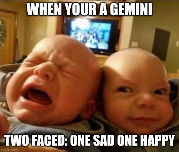 astrology memes gemini