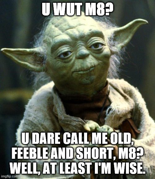 Star Wars Yoda | U WUT M8? U DARE CALL ME OLD, FEEBLE AND SHORT, M8? WELL, AT LEAST I'M WISE. | image tagged in memes,star wars yoda | made w/ Imgflip meme maker