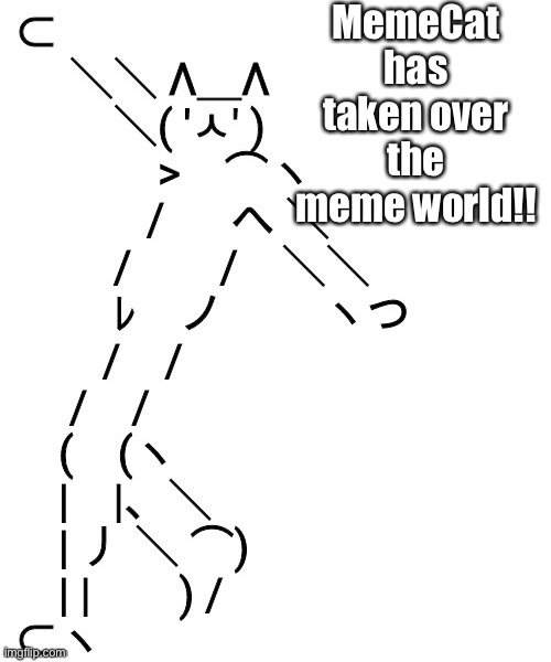 MemeCat | MemeCat has taken over the meme world!! | image tagged in meme cat,memes | made w/ Imgflip meme maker