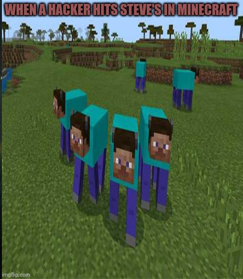 WHEN A HACKER HITS STEVE'S IN MINECRAFT | image tagged in minecraft | made w/ Imgflip meme maker