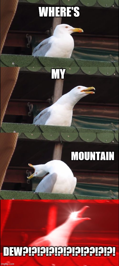 Inhaling Seagull Meme | WHERE'S; MY; MOUNTAIN; DEW?!?!?!?!?!?!?!??!?!?! | image tagged in memes,inhaling seagull | made w/ Imgflip meme maker