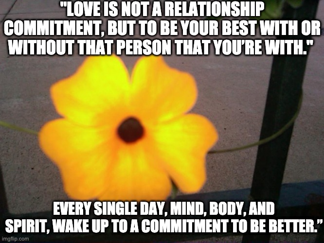 No commitment | "LOVE IS NOT A RELATIONSHIP COMMITMENT, BUT TO BE YOUR BEST WITH OR WITHOUT THAT PERSON THAT YOU’RE WITH."; EVERY SINGLE DAY, MIND, BODY, AND SPIRIT, WAKE UP TO A COMMITMENT TO BE BETTER.” | image tagged in yellow contrast flower | made w/ Imgflip meme maker