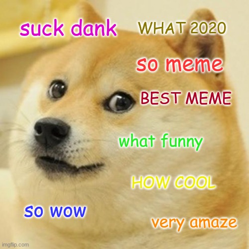 Doge Meme | WHAT 2020; suck dank; so meme; BEST MEME; what funny; HOW COOL; so wow; very amaze | image tagged in memes,doge | made w/ Imgflip meme maker