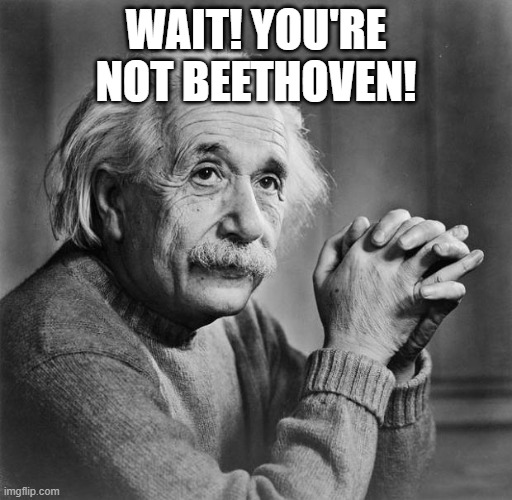 impostor | WAIT! YOU'RE NOT BEETHOVEN! | image tagged in einstein | made w/ Imgflip meme maker